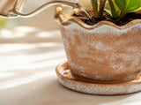 Scalloped Wavy Rim Planter Pot, Vintage Terracotta Flower Pot with Drainage Saucer, Perfect for V1192-AZ-W-24570