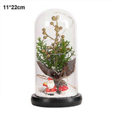 Glass Dome Christmas Plants Christmas Decorations Glass Dome Christmas Tree Branch with Lights V1263-JX-1771
