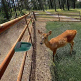 4L Water Trough Bowl with Automatic Float Valve V63-841941