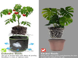 5 pieces - growing bag - Grow bag - 5 Gallon - Grow pot - bag - Sustainable - Reusable V1188-NK-BOL-561