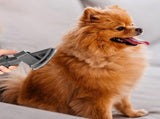 Pet Grooming Brush Kit Dog Hair Brush Vacuum Attachment for Dyson V7 V8 V10 V11 Vacuum V1263-JX-6923