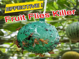 8pcs Hanging Fly Trap Ball Fruit Fly Catcher Sticky Trap Outdoor Pest Catcher for Garden Plants V1294-YM0718-10152618