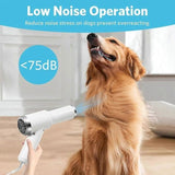2-in-1 Pet Hair Dryer with Straightening Brush Adjustable Temperature for Small Animals V1188-MS-710-130