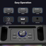 Portable Karaoke Speaker with 2 Wireless Microphones V1142-TM601101362687901