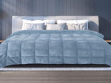 DreamZ Quilt Doona Comforter Blanket Blue King QU1005-K-BL_NZ