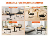 Rattan Chairs, Set of 2, Mid Century Modern Dining Chair, Upholstered Velvet Accent Chair with V952-TBYCYTERHS20VLE0IV0