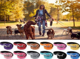 12 Pack Dog Leash Bulk, Double Sided Reflective, Nylon Leashes with Padded Handle for Small, Medium, V1259-DP01-A-1191