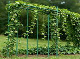 Garden Stakes, 25 Pack, 2100 mm, Plastic Coated Metal Tomato Stakes, Garden Sticks for Plants V952-ZWZCHYZ21M11RIJBP001V0
