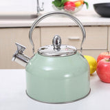 Stylish Kettle, Stainless Steel Green, 19.5x17 Cm V1192-AZ-W-23842