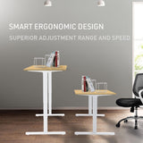 Fortia Sit To Stand Up Standing Desk, 120x60cm, 72-118cm Electric Height Adjustable, 70kg Load, V219-ADKSSTFOWOWT2A