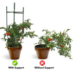 NOVEDEN 3 Sets Tomato Supports Cages with 20 Clips 50 Twist Tie and 30meters Rope V227-6777715003102