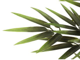 Premium Natural Cane Artificial Bamboo 150cm V77-1193905