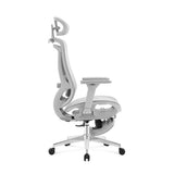 High back ergomonic mesh office chair V957-MS-2842-HIG