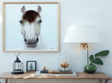 Horse Mugshot w Artificial Hair Framed Canvas Wall Art 60cm V637-95203HRS