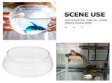 Round Clear Glass Fish Bowl Small Transparent Aquarium Tank for Desktop Fish Tank Landscaping and V1189-WXFWAL-20260326-01829