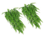 10PCS Artificial Hanging Plants Plastic Persian Fern Vines Fake Greenery Plants for Indoor Outdoor V1294-YM0901-3115240058611