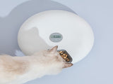 6 Meal Automatic Pet Dog Cat Food Feeder Dispenser with Programmable Timer White V278-F6-LED-MEAL6-FEEDER-WHITE