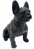 Danny French Bulldog Statue 47cm V637-E144286
