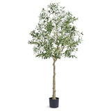 Artificial Olive Tree, 15.2cm Tall Faux Plant, Secure PE Material & Anti-Tip Tilt Protection V952-RZS6FTGLS000VAJSMV0
