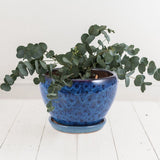 Succulent Ceramic Flower Pot Dark Blue Drainage Home Decoration 1 Set V1370-AZ4-19585