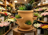 Multi Pocket Terracotta Vertical Tower green foliageer With Matching Drain Tray, Space Saving V1366-AZ2-W-16873