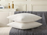 18" x 18" Decorative Throw Pillow with Inserts, Set of 2 Soft Textured Boucle Throw Pillows, Square V1258-DP02-C-3206