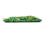 Artificial Grass Wall Panels, 12 PCS 20 x 20 inch, 3D Combination Greenery Boxwood Panel for Indoor V952-PJSRZZWQ12PC0AI8JV0