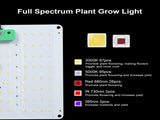 Full Spectrum Growth Quantum Board LED Indoor Plant Supplement 3000K 5000K IR UV Grow V1294-YM0901-L6830US
