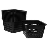 10pcs Black Plastic Orchid Flower Pots with Holes, Breathable Root V1366-AZ2-W-21148