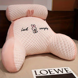 1 includes pillow core for comfortable back support, ergonomic lumbar support, soft cartoon V1232-SSKZ002