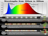 Plant Grow Light, 2020 New 80 LEDs 4 Heads Grow Lamp, Auto Timing - On/Off LED Grow Light For V1188-MS-227-1706