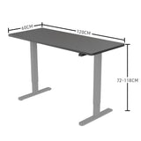 FORTIA Sit Stand Standing Desk, 120x60cm, 72-118cm Height Adjustable, 70kg Load, Black/Silver Frame V219-ADKSSTFOBKSV2A