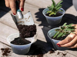 36 Pack 4/5/6/7 Inch Clear Nursery Pots for Plants, Plant Pots with Drainage Holes, Transparent V1258-DP02-C-156