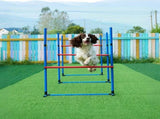Dog Agility Training Set for Pets V1142-LP601100798127847