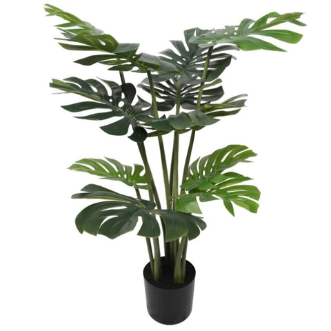 Split Philodendron 120cm V77-1089085