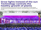 Grow Lights for Indoor Plants Full Spectrum 216 LEDs 3 Modes Large Coverage for Plant Growth V1294-YM0901-H48458EU