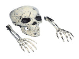 Skeleton Decor Cosplay DIY Multifunctional Lifelike Compact Scary Halloween Skeleton V1294-YM0710-3115210178811