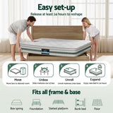 20cm Giselle Mattress Queen Green Tea Mattresses MATTRESS-B-MINT-20-Q