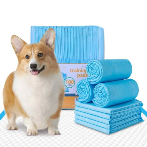 100pcs Dog Absorbent Training Pad 60 x 60 cm V915-MB0045