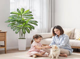 Artificial Dracaena Tree 1524 mm, Fake Palm Tropicals with White Taller, Faux Floor Silk V952-RZRDZWLXS5FT31TZT001V0