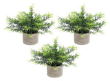 3 Pcs Small Lifelike Plants Eucalyptus Rosemary Potted Green Decor with Cylindrical Pulp Pot for V1294-YM0901-240103HL01-1