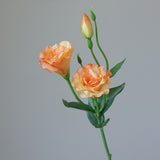 5PCS Artificial Silk Fake Eustoma Flowers Long Stem Lifelike Flowers for Wedding Party Home Decor V1294-YM0901-240821HL01-1