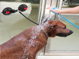 Heavy-Duty Suction Cup Anchor for Large Dogs 360&deg Rotating Metal Ring, Dual 120mm Strong Suction V1341-ZY-S48SWVWA-DUALSUCTION-CUP
