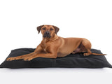 Chew Proof Indestructible Dog Beds for Aggressive Chewers,Durable Dog Crate Pad,Washable Tough Pet V1192-AZ-W-3464