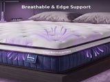 Levitex King Mattress 23CM With Pocket Spring & Cooling Gel Foam, Medium-Firm Full-Body Support, MATTRESS-F-SYNC-23-K