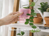 Semi-Transparent Pink Square Self-Watering Propagation Pot for Desktop Succulents, Seedlings, and V1341-ZY-J99X4UDS-H-12PCS