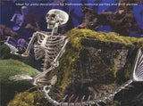 Skeleton Decorations Skeleton Mermaid, Halloween Skeleton Mermaid Decorative for Costume Party V1369-AZ3-W-16106