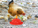 Poultry Watering System Red PP Automatic Chicken Waterer 1 Set V1192-AZ-W-30620