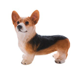 Dog Statue Vivid Cute Style Small Compact Resin Material Corgi Ornament for Gardens Indoor Desks V1294-YM0717-3111220225012
