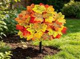 Vibrant Fall Maple Leaf Yard Stake, Eye-Catching Decor for Garden, Perfect for Thanksgiving and V1192-AZ-W-24566